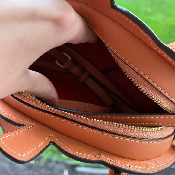 Viral coach pumpkin fall crossbody bag purse